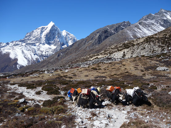 Trekking in Everest Region